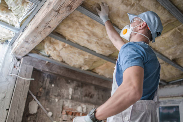 Best Residential Insulation in Vevay, IN