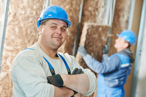 Best Geographic-Specific Insulation Services in Vevay, IN
