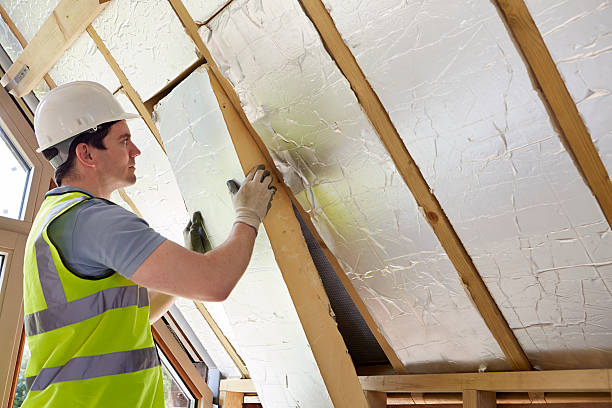 Best Specialized Insulation Services in Vevay, IN