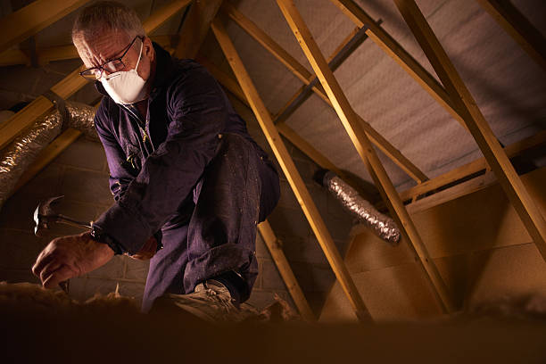 Best Insulation Maintenance and Repair in Vevay, IN